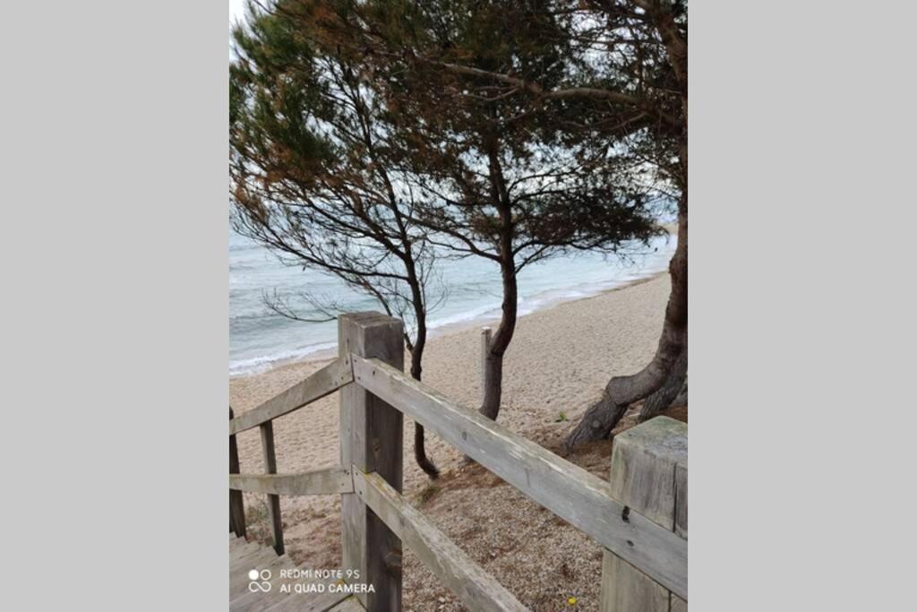 El Perelló Casa Oliveres Beach En L' Ampollaヴィラ エクステリア 写真