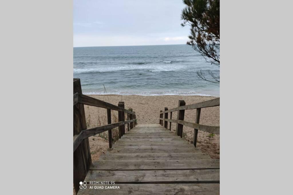 El Perelló Casa Oliveres Beach En L' Ampollaヴィラ エクステリア 写真
